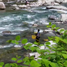 土壺にはまるパターンの画像