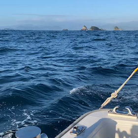 本日の速報　の画像