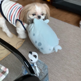 よいしょっよいしょっの画像