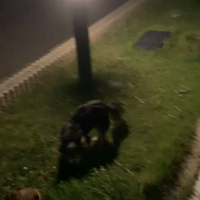 9月17日　夜に一時退院の画像