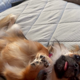 お願い❤️されるとついつい‥。の画像