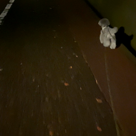 よるサンポの画像