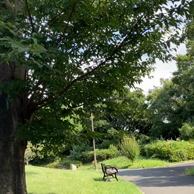 朝夕は平年並みの画像
