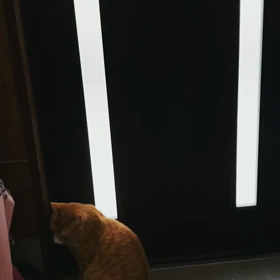 いい天気の画像