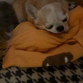 眠れますようにの画像