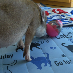 おやつボールの画像