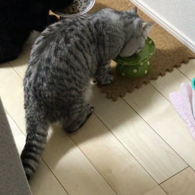 成長です！の画像