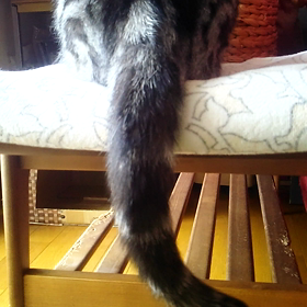 何を考えてるのかな(*^^*)？の画像