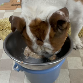 美味しゅうございましただぜーーーの画像