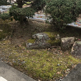 雪が降っています ♡の画像