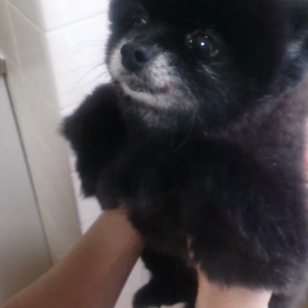 エアスイミングの画像