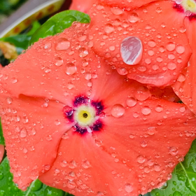 介護記録７７（友人のことば）の画像