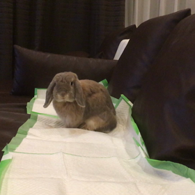 タイミングの画像