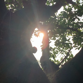 しっかり脳にも栄養をの画像
