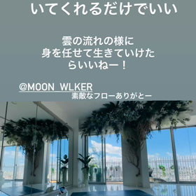 ポイポイする大切さ❤️何にともらわれない❤️サントーシャの画像
