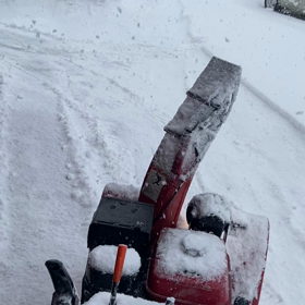 春よこいの画像