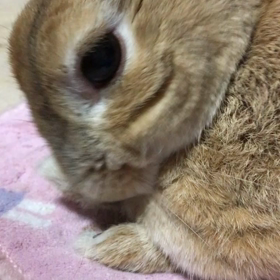 洗顔中。の画像