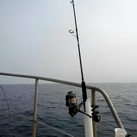 本日のBlue moon TVの画像