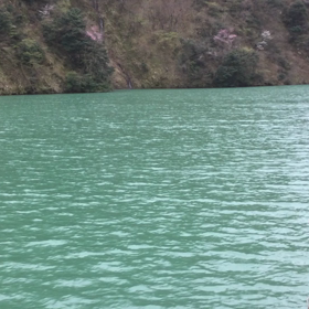 たまには観光の画像