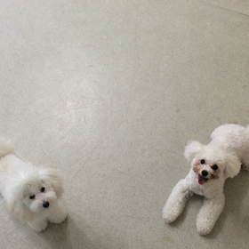 ♪プレイルーム動画♪①の画像