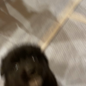 新しいおもちゃだよ❤️の画像