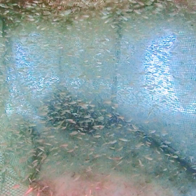 ７月がスタートッ♪♬の画像