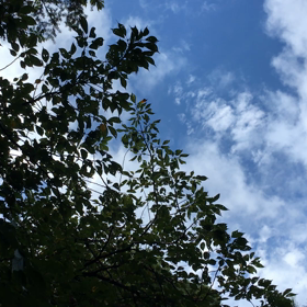 恵方参りとお墓まいり♪の 画像