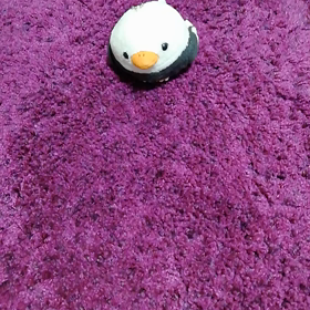 ピーコと私　ﾌﾟﾘﾌﾟﾘ315の画像