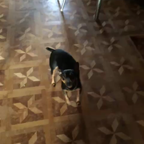 可愛ぃすぎ(*≧∀≦*)の画像