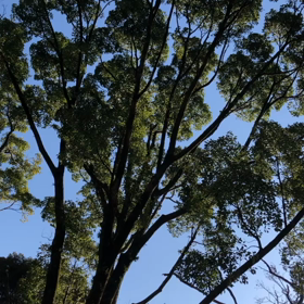 変化の時の画像