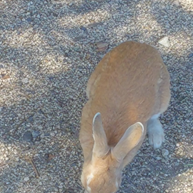 やっと体調落ち着くの画像