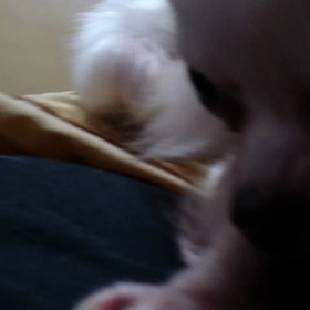 久しぶりです！の画像