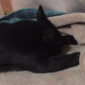 ななちゃん(*^o^*)モミモミ❣️の画像