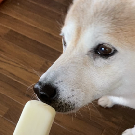 ５月２７日　SHURIです。の画像