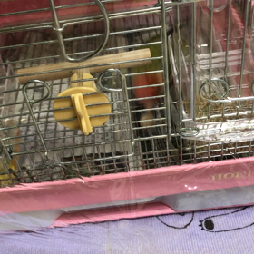 絶好調な(腸活) ＼(^o^)／の画像