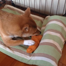 2015年12月13日の画像