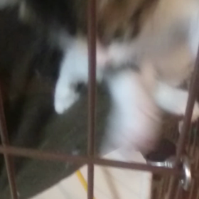 今日は傘の日の画像