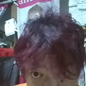 a1おはようございます。の画像