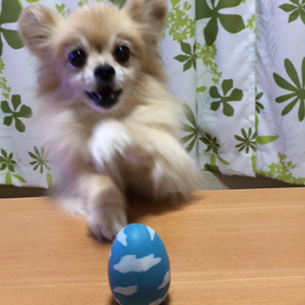 良いお年を〜✨の画像