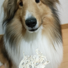 ボク、食いしん坊ですの画像