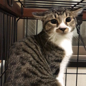 寝返るのは何か月先？の画像