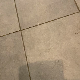 レオンの遊びの画像