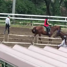 わっせわっせの画像