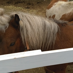 感動の再開＆再会？！の画像