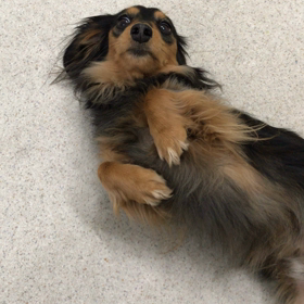 ♪プレイルーム動画♪①の画像