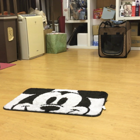 マットに。の画像