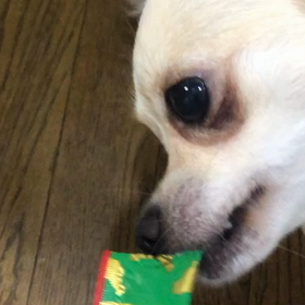 チャオチュールの威力の画像