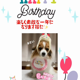 フグちりさんとこのチビちゃんのお誕生日の画像