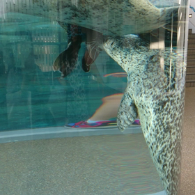 京都水族館の画像