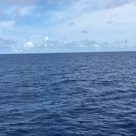 また 行きたいな！の画像